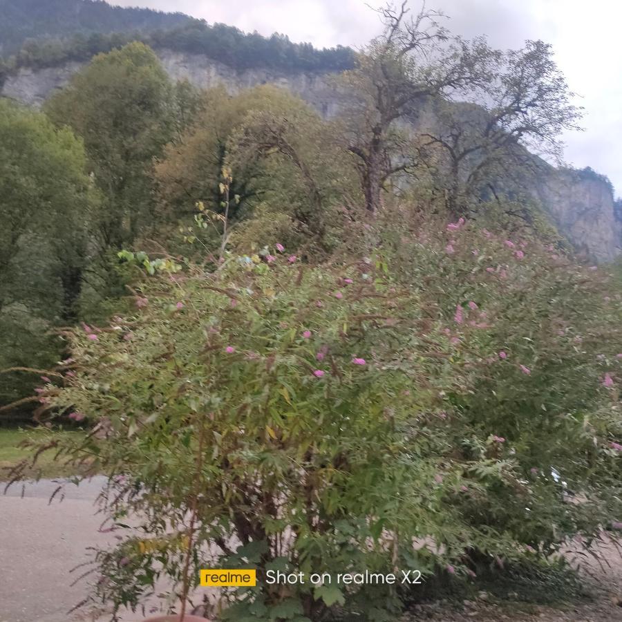 Herberge Balmweid 1 Meiringen Exteriör bild